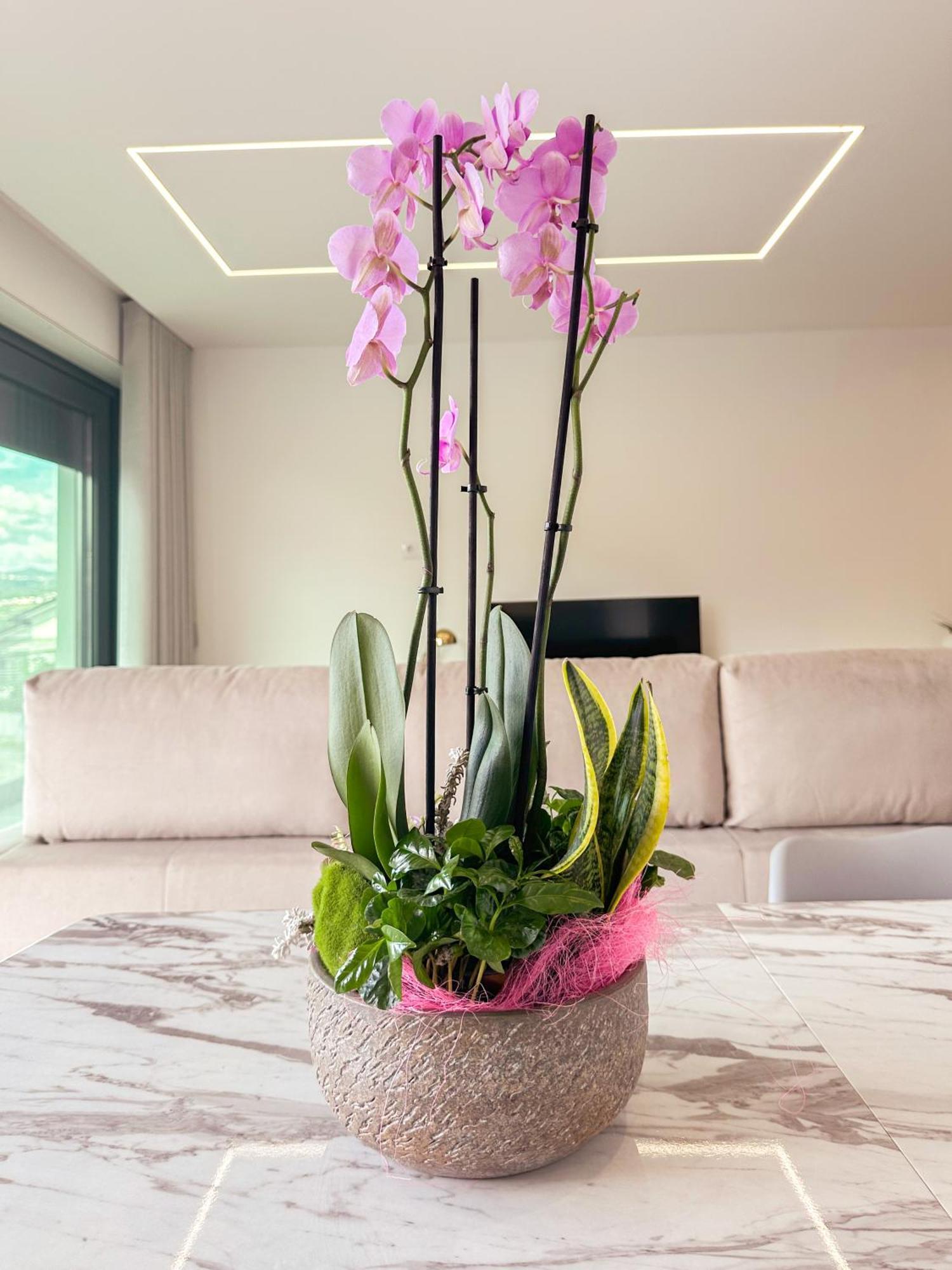Flora Guest House Marco de Canavezes Exteriér fotografie